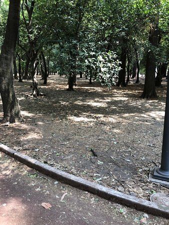 Parque Chapultepec